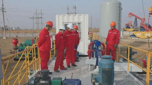 外媒聚焦中國油田“孤島廠側(cè)鉆”技術(shù) 管理升級(jí)盤活資產(chǎn)，資產(chǎn)管理邁向新高度